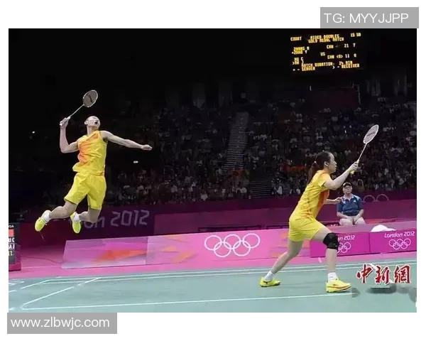 杭州羽毛球队在锦标赛中的战术分析与表现评估