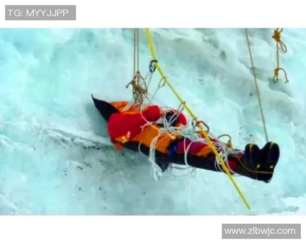 攀登人生的高峰：陈秀英与深度对话的启示与思考