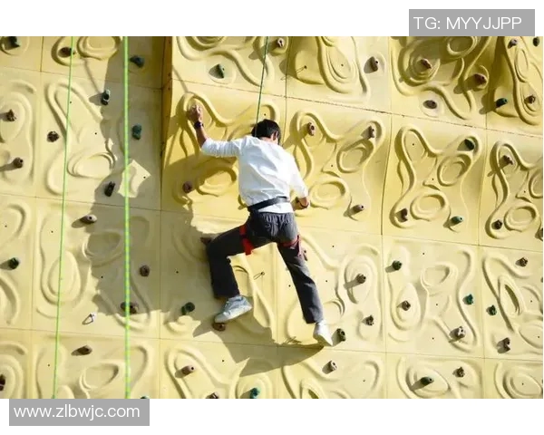 武汉飞盘队在攀岩联赛中的速度表现分析与点评