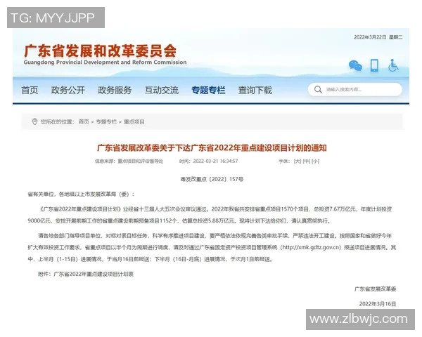 重磅专题：探索WE在盯防革新中的新策略与实践应用