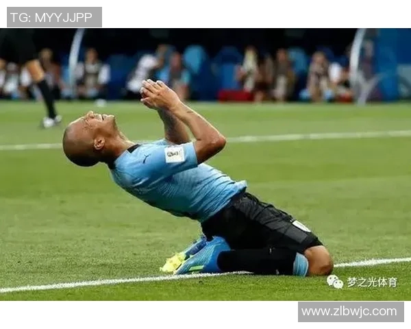 摩洛哥与伊朗比赛体彩投注比例分析及影响因素探讨