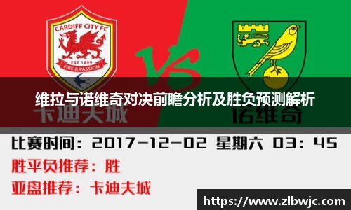 维拉与诺维奇对决前瞻分析及胜负预测解析