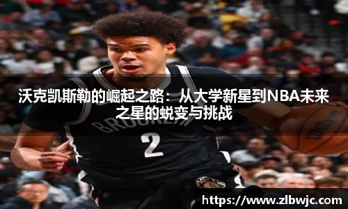 凤凰联盟官网入口